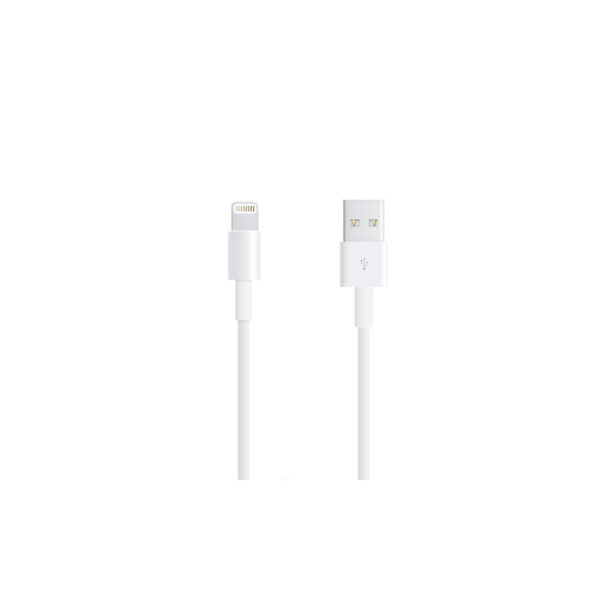 APPLE KABEL USB - LIGHTNING 1M IPHONE BOX 195949087714