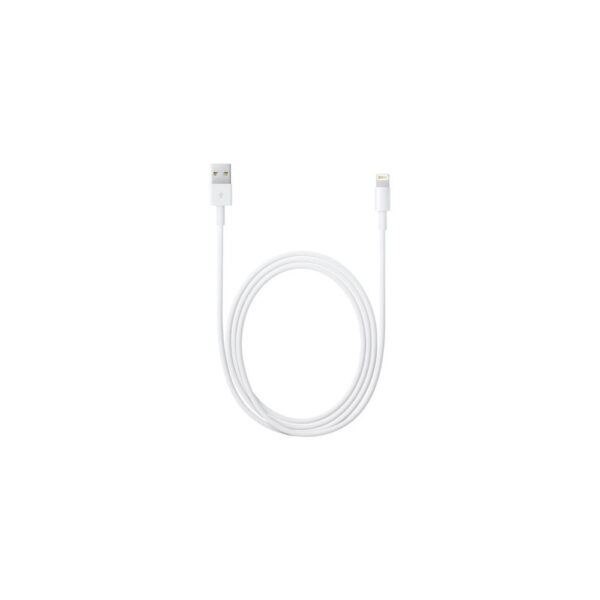 APPLE KABEL USB - LIGHTNING 1M IPHONE BOX 195949087714