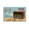 DARTEL RADIO SIECIOWE RETRO Z FUNKCJĄ BLUETOOTH RD-1901BT 5901947680544