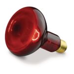Beurer żarówka do lampy na podczerwień SIL06 / IL11 / MEDEL INFRA 100W