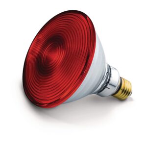 Beurer żarówka do lampy na podczerwień IL21 / IL35 / SIL16 / SIL29 150W