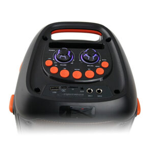 ESPERANZA GŁOŚNIK BT FM LED RGB KARAOKE SINGER