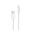 Economy Kabel Tray USB - Lightning 2A 1m Biały